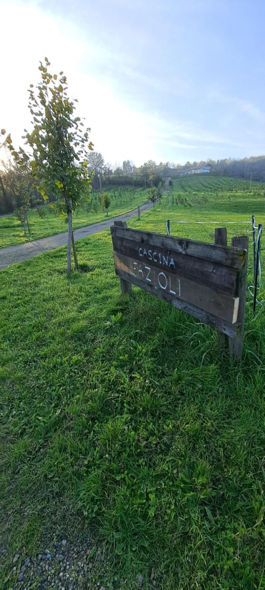 Cascina Fazioli Villa Alfiano Natta Exterior foto