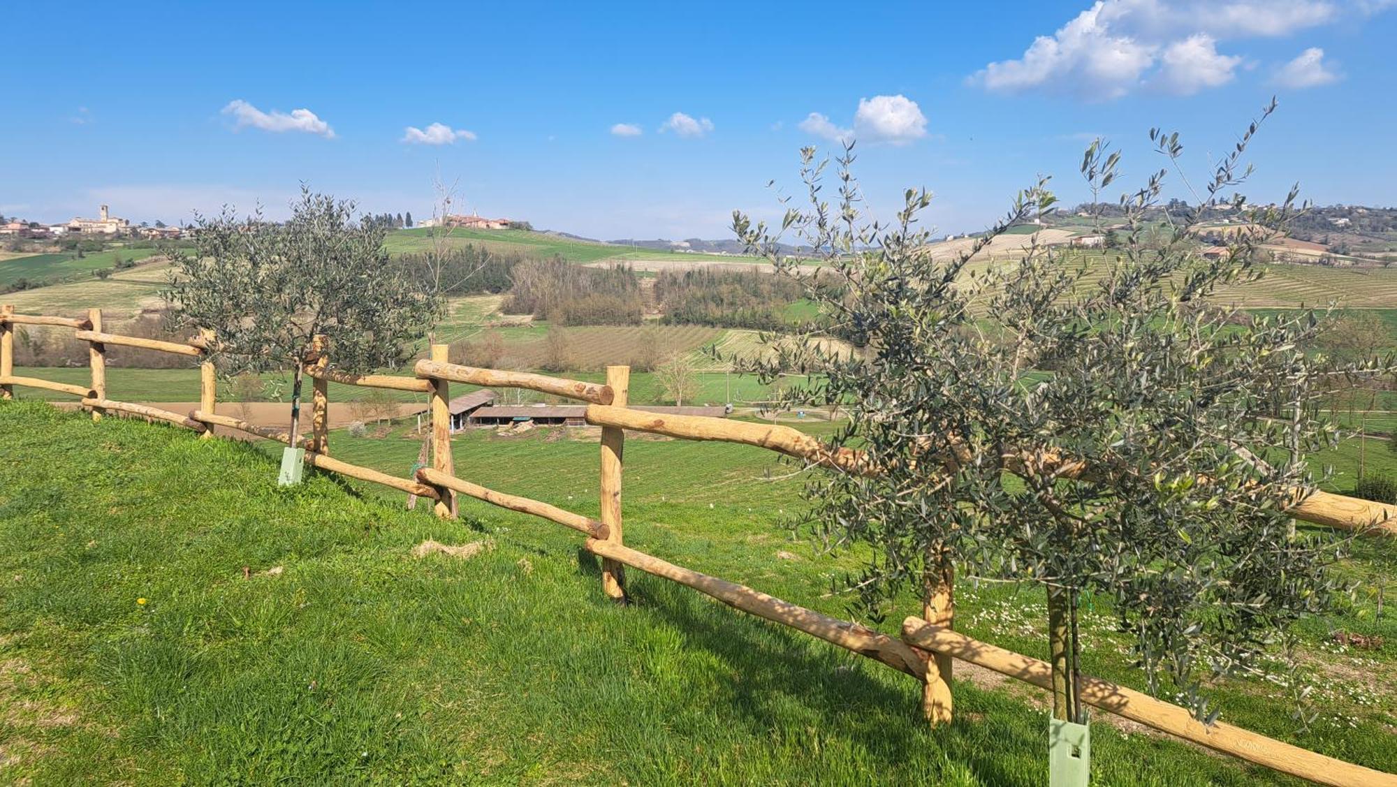 Cascina Fazioli Villa Alfiano Natta Exterior foto
