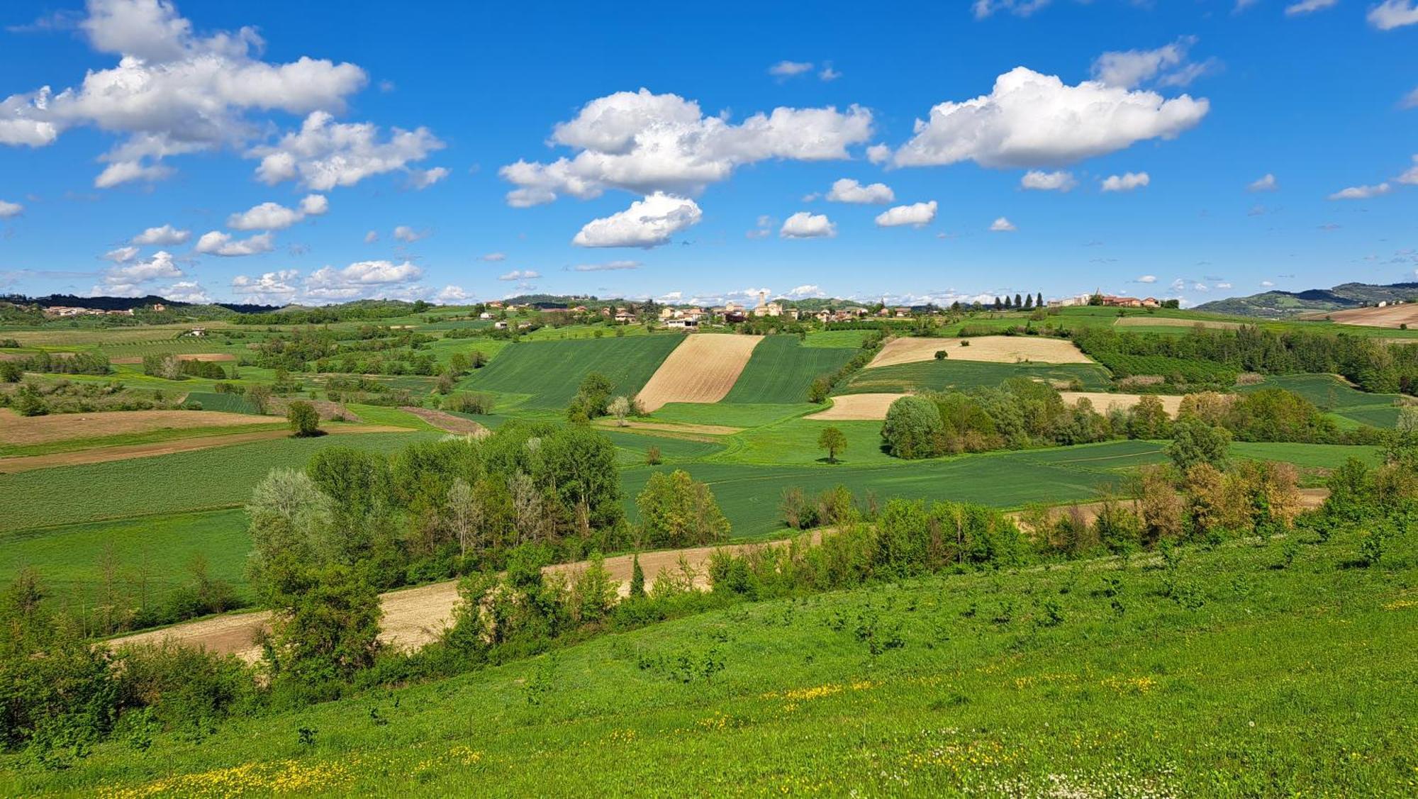 Cascina Fazioli Villa Alfiano Natta Exterior foto